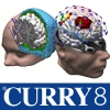 Curry 8 -SBA